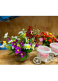 product-img-6