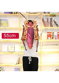 product-img-6