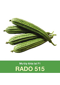 Hạt Giống Mướp Khía Sai Trái, Chịu Nhiệt 10 Hạt