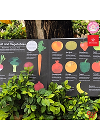 Sách Khám Phá In Focus - Cuốn Sách Khổng Lồ (Dành cho bé từ 6 tuổi) - Đinh Tị Books