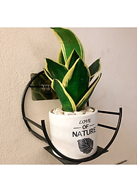 Kệ Treo Trang Trí Hình Bán Nguyệt Dán Tường Tiện Dụng ,Giá Treo Chậu Hoa Ban Công Phòng Khách- Phong Cách Hiện Đại- Chính Hãng MINIIN