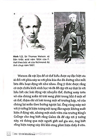 Sách Những Bí Ẩn Của Tay Phải Và Tay Trái