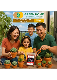 Đá Nham Thạch Lava GreenHome, Bao 500GR, Giá Thể Cho Thủy Sinh, Bonsai, Xương Rồng Màu Đỏ, Đen, Sạch Bụi