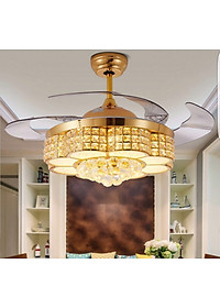 product-img-1
