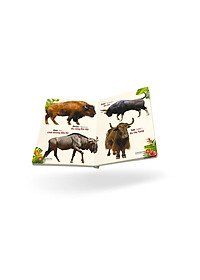 product-img-5