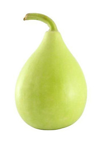 Hạt giống Bầu quả tròn -  bầu Baby F1 giống ngắn ngày kháng bệnh VTP01