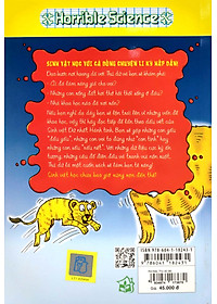 product-img-6
