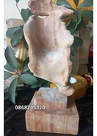 product-img-3