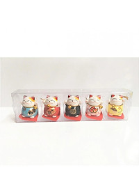 product-img-7