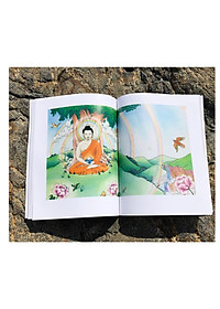 product-img-5