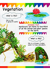 Sách My First Questions & Answers - Rainforest