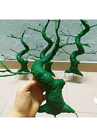 product-img-2
