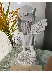 product-img-6