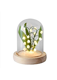 product-img-7