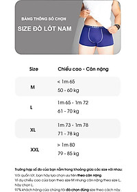 Combo 3 quần sịp nam quần lót nam Cao Cấp cạp nhỏ MRM FASHION cùng màu