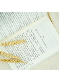 product-img-6
