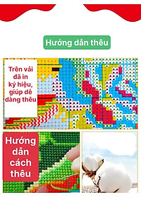 product-img-1