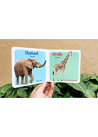 Từ điển hình ảnh đầu tiên cho bé khám phá thế giới (10 cuốn) - My first picture book 
