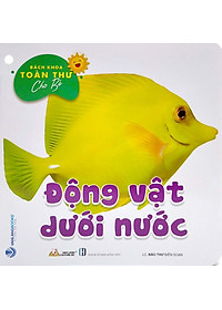 product-img-5