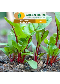 Hạt Giống Rau Cải Cầu Vồng Greenhome, Gói 5g~200 hạt, Dễ Trồng Quanh Năm, Nảy Mầm Cao, Thu Hoạch Nhanh, Năng Suất Cao R06