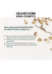 Combo Kem Nền Kem Chống Nắng Che Khuyết Điểm Kiềm Dầu Dưỡng Trắng Chống Nhăn Cho Da Nhạy Cảm Cellkey-Scien BB Sun Cream (80ml)