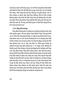 product-img-9