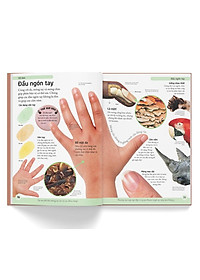 product-img-5