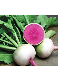 Hạt giống Củ Cải Ruột Hồng Rado 109 - 1gr - ủ tròn, độ đồng đều cao, vỏ trắng xanh, ruột hồng