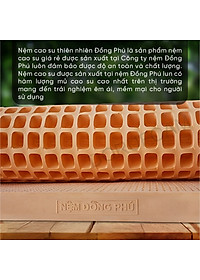 Nệm Cao Su Một Mặt Lỗ Đồng Phú DPCS1615 (160 x 200 x 15 cm)