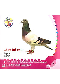 Sách Bé Nhận Biết Môi Trường Xung Quanh (0 - 3 Tuổi) - Chim (Birds)