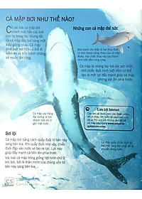 Sách Bách Khoa Tri Thức Về Khám Phá Thế Giới Cho Trẻ Em - Cá Mập (Tái Bản 2018)