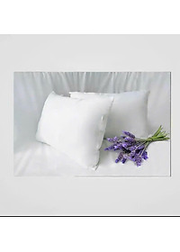 product-img-12