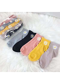 product-img-3