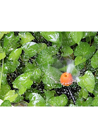 Đầu tưới phun sương 360 độ hộp 10 cái/ Micro Mist Sprayer on Spike Claber 91229