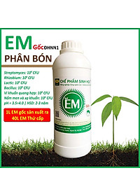 Combo 3 chai Chế phẩm sinh học EM gốc (1lit). Ủ phân cá, rác bã hữu cơ hoai mục không mùi hôi. Làm phân bón giàu dinh dưỡng cho cây trồng. Men vi sinh Đại Học Nông Nghiệp 1. HSD: 2 năm 