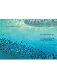 Ehon - Mọt Sách Mogu - Câu Chuyện Của Những Giọt Nước (Từ 3 Tuổi Trở Lên)