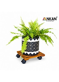 product-img-6