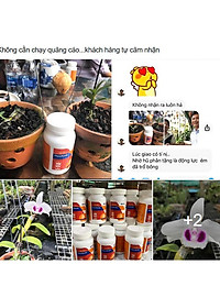 Phân bón hòa tan Israel Novacid 12-40-36+3CaO+Te, Hoà tan 100% sử dụng cho hệ thống tưới nhỏ giọt và tưới phun. Hạn chế rụng trái non, thúc hoa ra màu đẹp và tăng sức đề kháng cho cây trồng