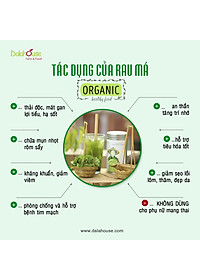 Bột Rau Má Dalahouse Hộp 60g (Mẫu mới gồm 20 tuýp 3g) Nguyên chất sấy lạnh - Mát gan giải độc