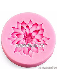product-img-6
