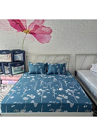 Bộ ga chun không chần Sông Hồng 200cm x 220cm