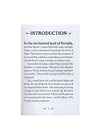 product-img-4