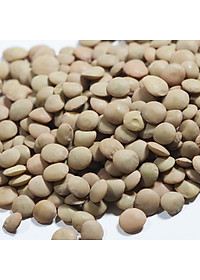Đậu lăng nâu Whole Brown Lentils