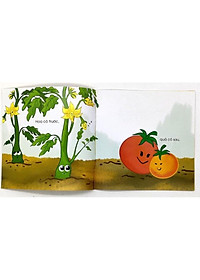product-img-6