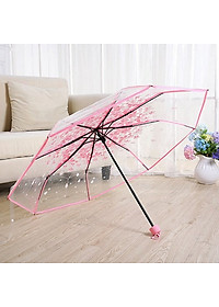 Dù xếp trong suốt hoa anh đào V.2 - Màu hồng