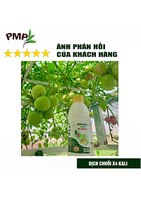 Combo 2 Chai Dịch Chuối Humic PMP Vi Sinh Chuyên Dùng Cho Hoa Hồng, Rau Sạch 1L/Chai