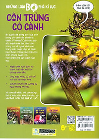Sách Những Loài Bọ Phá Kỷ Lục - Côn Trùng Có Cánh