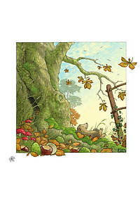 product-img-2