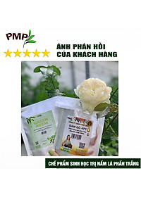 Combo Green Neem Hữu Cơ, Chế Phẩm Vi Sinh Biomic & Giấm Gỗ Sinh Học APY PMP Bảo Vệ Toàn Diện Hoa Hồng, Rau, Cây Cảnh