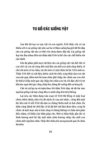 product-img-11